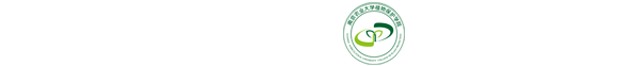 伟德国际
